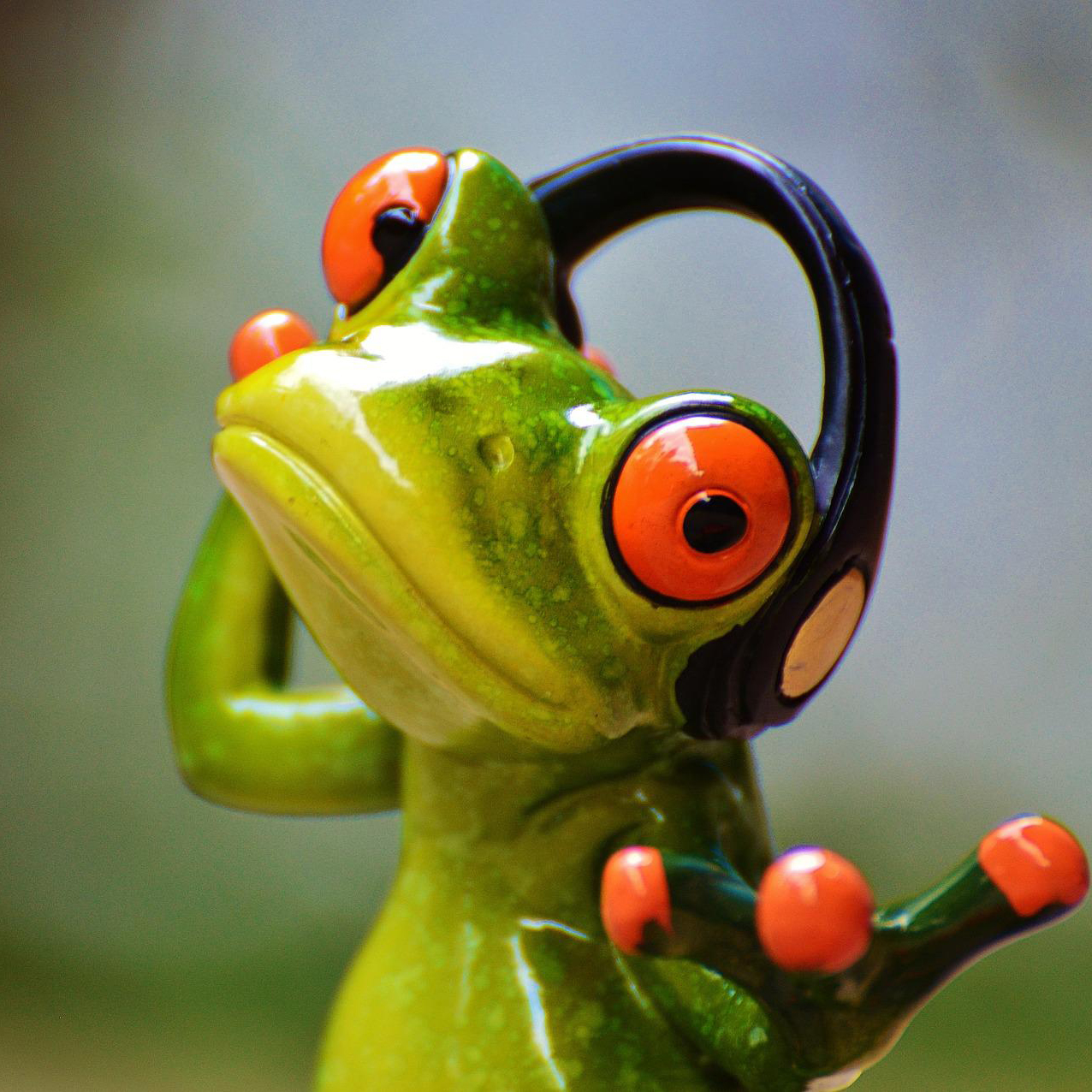 frog01