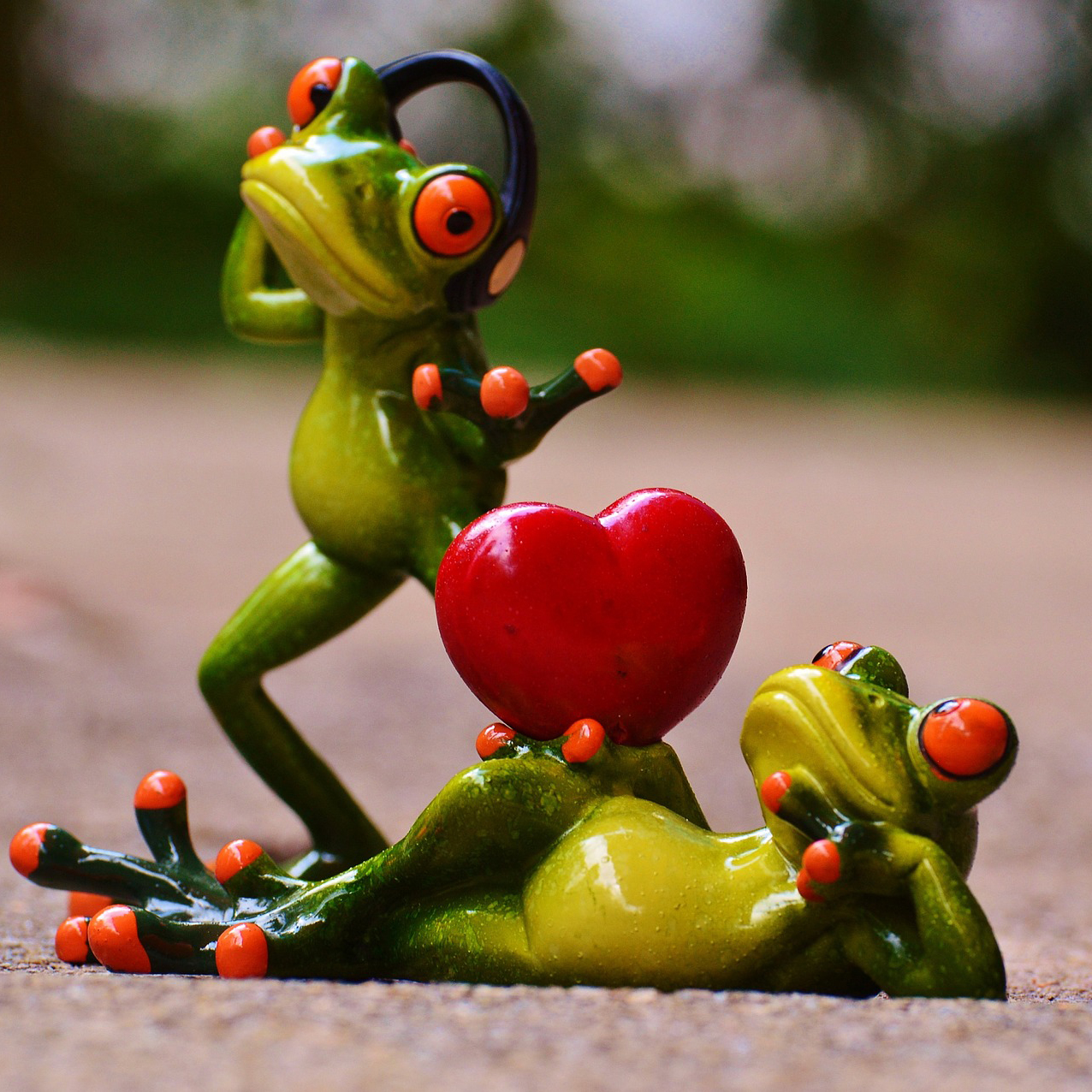 frog02