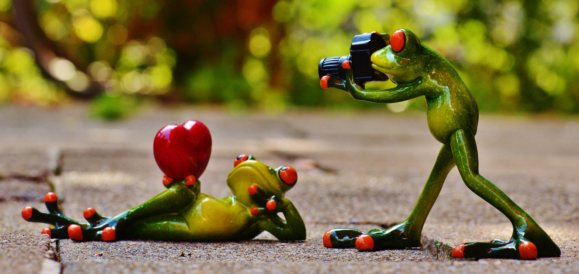 frog04