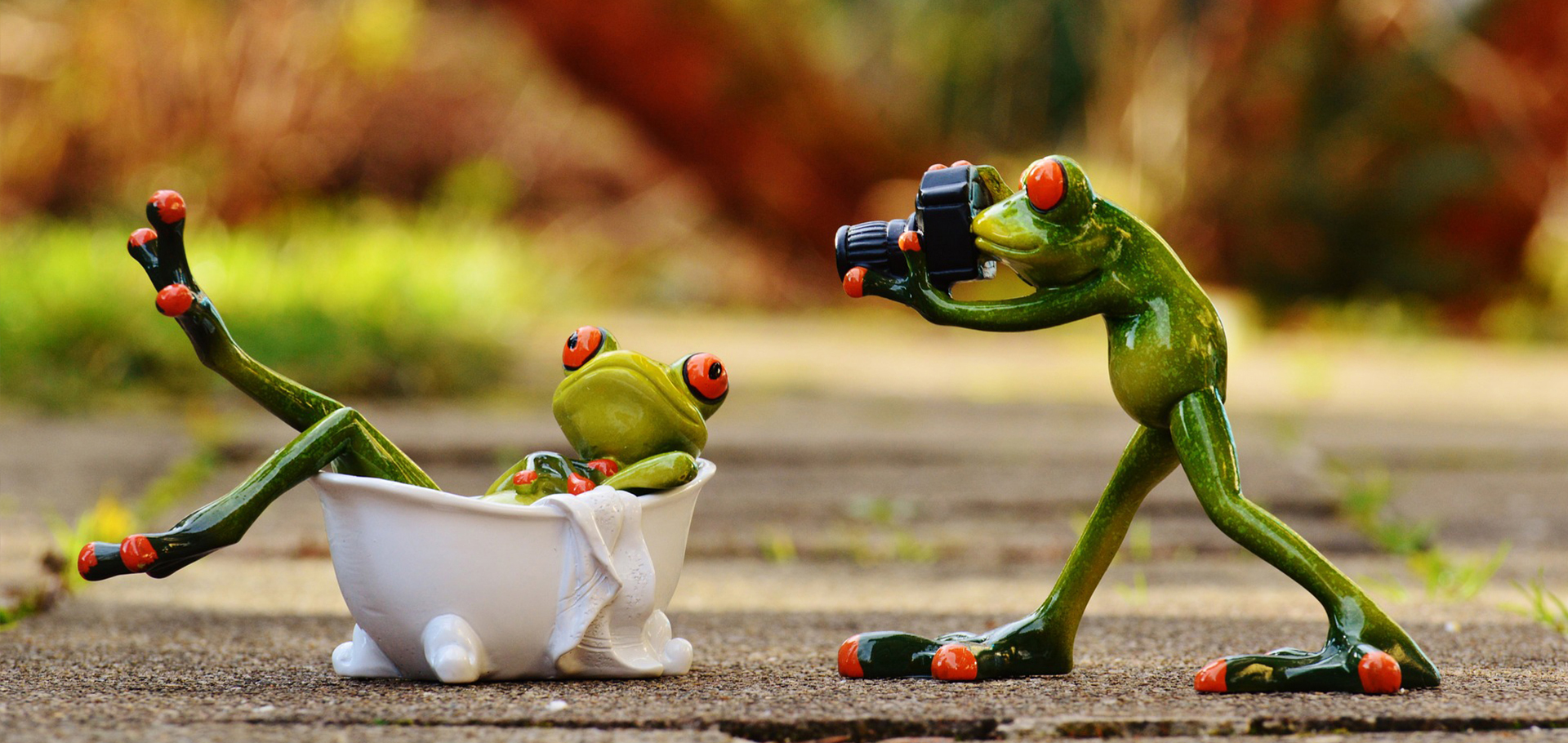 frog06