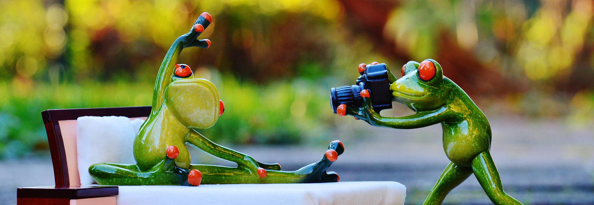 frog_long